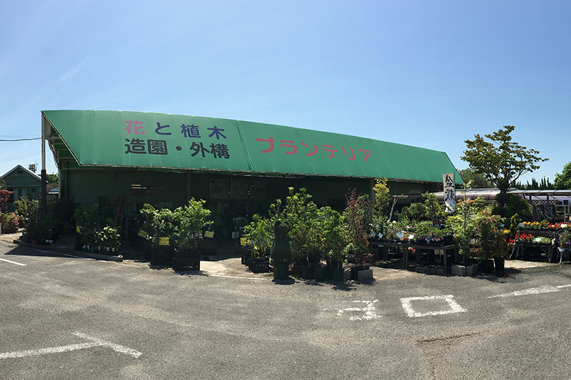 植木・山野草・盆栽
